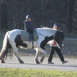 ”Hästarna tenderar att reagera mest”