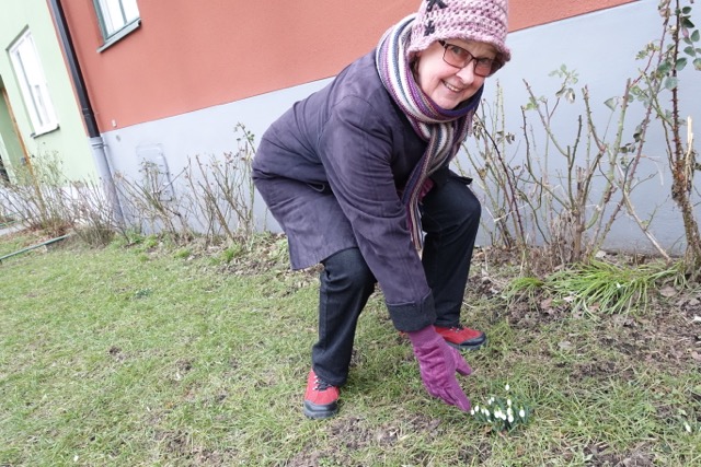 blommor