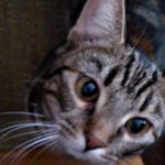 ”Är väldigt orolig – hon är så liten”