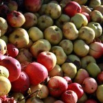 ”Här kan du lämna din fallfrukt”