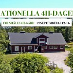 Detta händer i helgen
