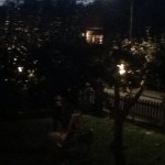 ”Vi har satt upp lampor i träden så de kan plocka”