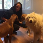 ”Tanken är att kunna använda hundarna i undervisningen”