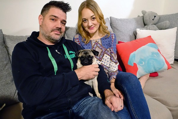pug