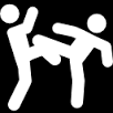 kampsport