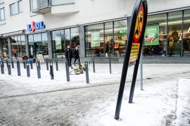 Träd på torget (4 of 5)