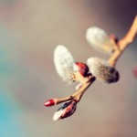 Detta kan du göra på påsklovet