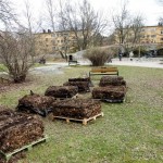 ”Var hittar man 30 nya pallkragar?”