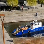 ”Vårstädning i vår vik”