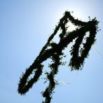 8 platser där du kan fira midsommar