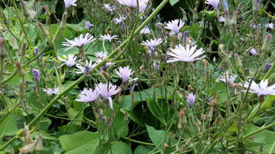 unnamed (1)