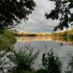 Gröndal vandring (2 av 14)
