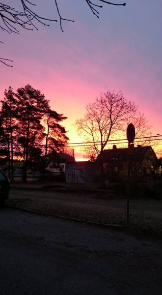 caroline-reinfeldt%e2%80%8e-morgon-i-ma%cc%88larho%cc%88jden