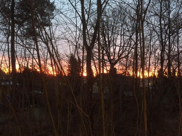 susanne-fabre-magiskt-morgonljus-i-ma%cc%88larho%cc%88jden