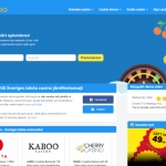 Casino på nätet – Så fungerar det i Sverige!