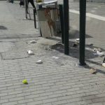 Här gör måsarna sina  morgon- och kvällsflygningar