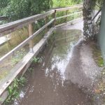 Insändare: Vuxna klarar sig genom att klänga på staketet