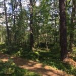 Debatt: Låt oss söder om city få ha kvar våra grönområden