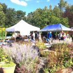 Händer i helgen – 8 lokala tips