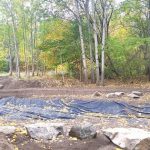 Vinterviken blir med groddamm