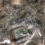 Stort beslag av marijuana i Aspudden