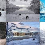 Här är 2018 års bästa vinterbilder