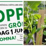 Händer i helgen: 6 lokala tips