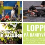 Händer på nationaldagen 6 juni – 8 lokala tips