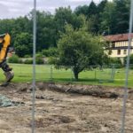 ”De två finaste träden sparas vid saneringen – underbart”
