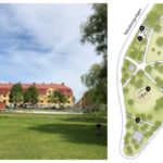 20-tal stora träd fälls i Svandammsparken