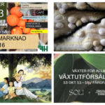 Händer i helgen: 14 lokala tips