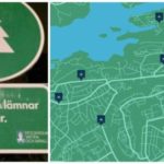 Här kan du lämna din julgran – 13 platser