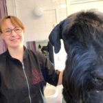 Sara öppnar hundfrisörsalong i Axelsberg