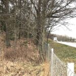 Nytt naturreservat föreslås intill Älvsjöskogen
