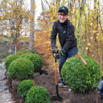 Trädgårdstips: Våga vara lat i vår