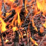 Elda trädgårdsavfall? Detta gäller nu