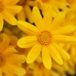 Häng med oss i sommar på Älvsjö torg och Liljeholmstorget