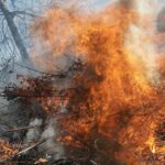 Eldning tillåten vecka 40