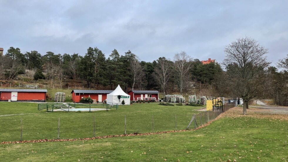 julgran