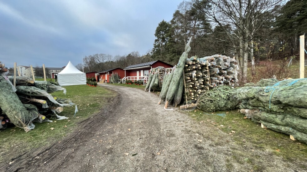 julgran