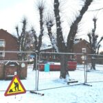 Restaurering av trädallén vid Örby slottspark