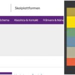 Debatt: Så blev skolplattformen ett eldorado för konsulter