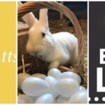 Händer i påskhelgen 16-18 april i Hägersten-Älvsjö: 7 lokala tips