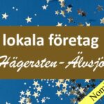 Vem tycker du ska bli årets lokala företag i Hägersten-Älvsjö 2022?