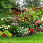 Plantera blommor för nybörjare trädgårdsmästare