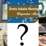 Årets lokala företag Hägersten-Älvsjö – här nominerar du