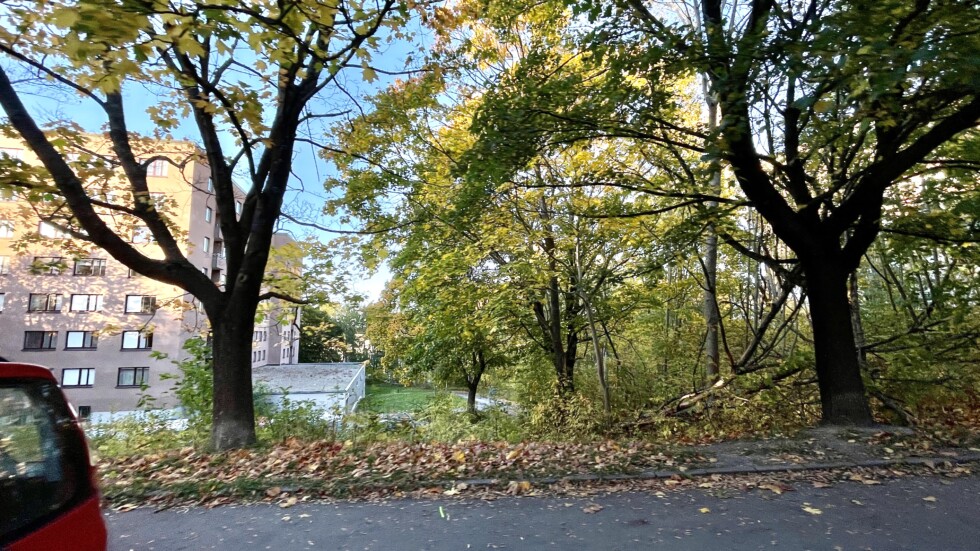 park