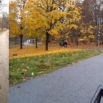 Förslag: Bilister kör på cykelbanan vid förskolan i Älvsjö – så kan de stoppas