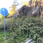 Nu pågår slyröjning!