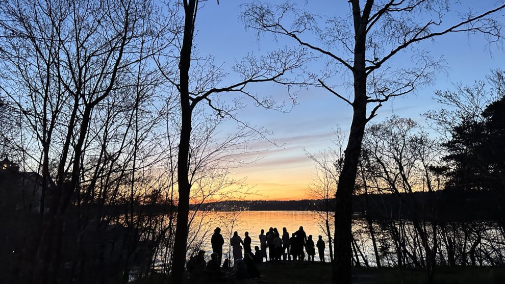 vårbild